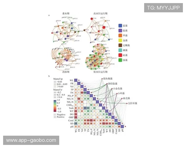 亚星网络百家家乐平台优势分析选择优质平台的关键因素