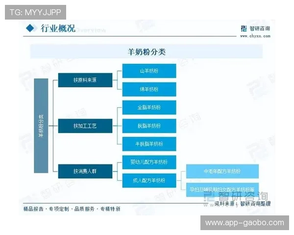 竞咪百家乐行业发展趋势与未来前景分析助你把握投资机会